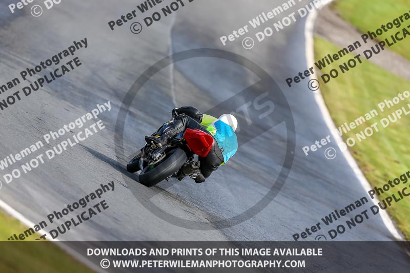 Oulton Park 14th March 2020;PJ Motorsport Photography 2020;anglesey;brands hatch;cadwell park;croft;donington park;enduro digital images;event digital images;eventdigitalimages;mallory;no limits;oulton park;peter wileman photography;racing digital images;silverstone;snetterton;trackday digital images;trackday photos;vmcc banbury run;welsh 2 day enduro